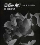 薔薇書影