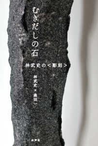 むきだしの石＿書影